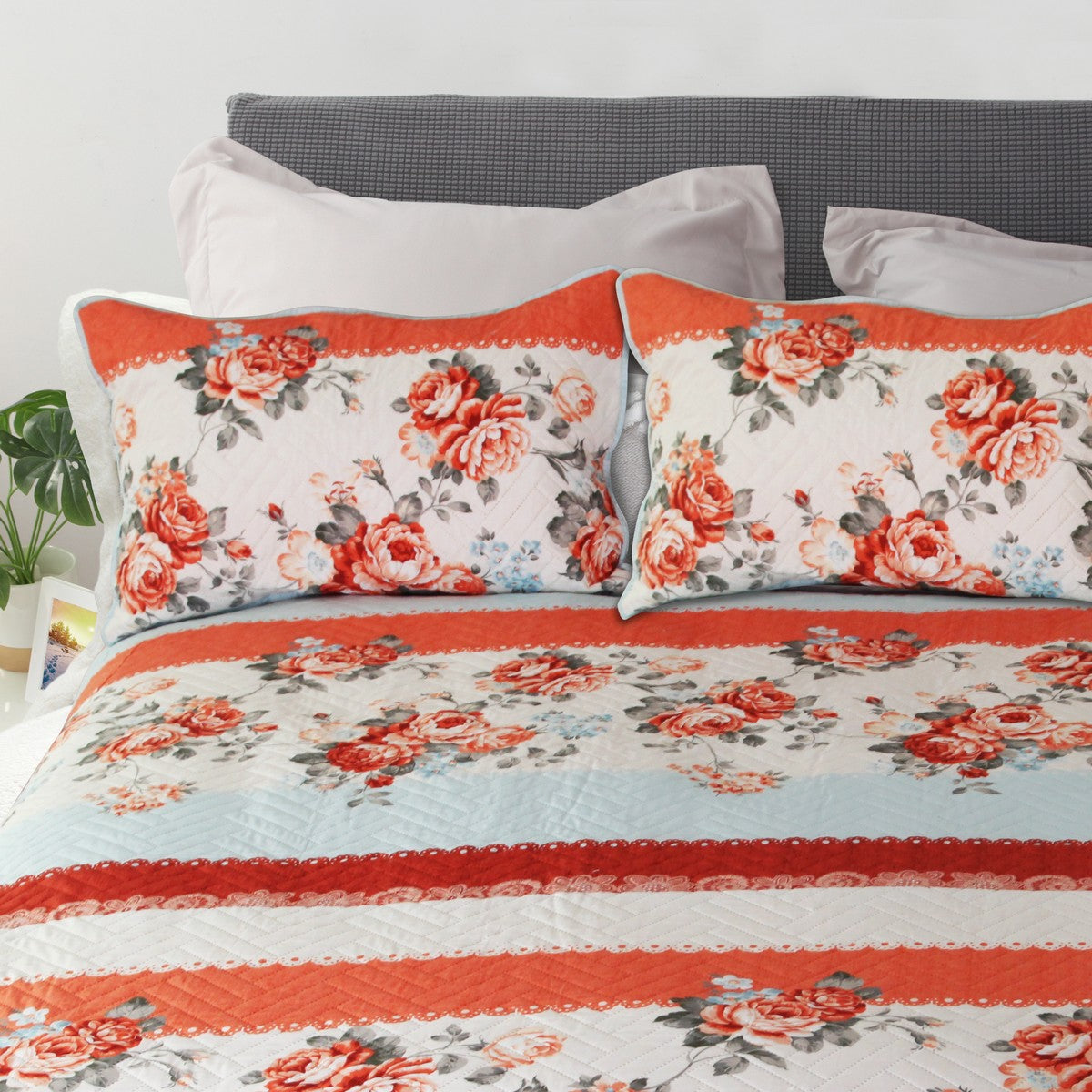 Ramesses Allure Soft Printed Comforter Set | Bright Designs Modern Coverlet Set