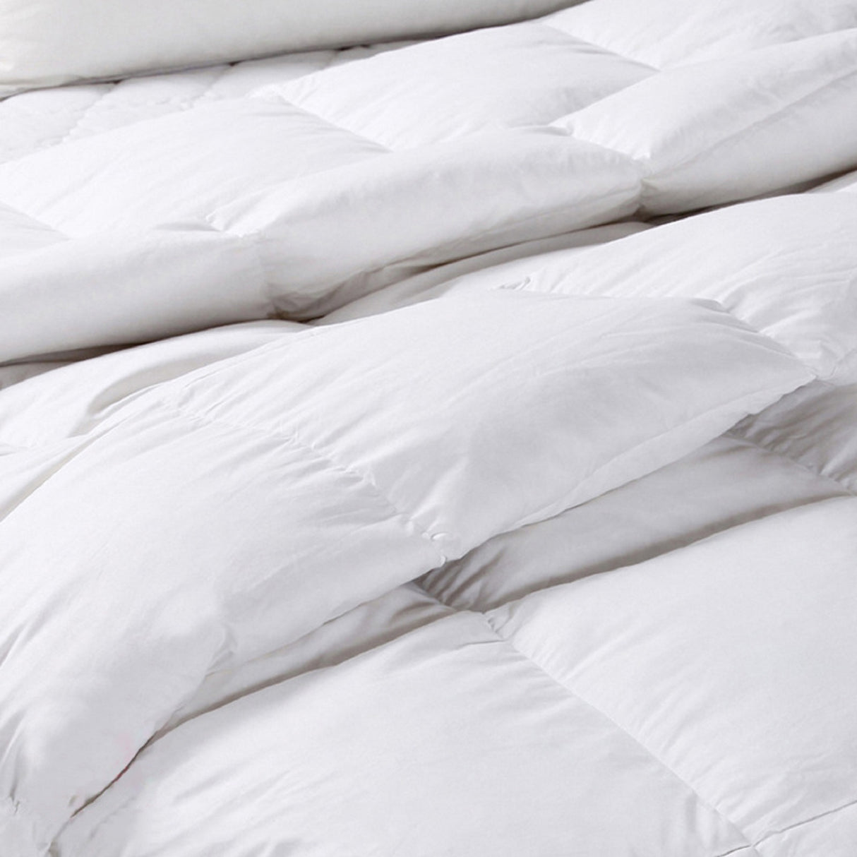 Essenza Soft Premium 50% Goose Feather 50% Down 500GSM Quilt | All Season Goose Luxe Duvet | 5 Sizes